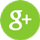 Google Plus google-plus